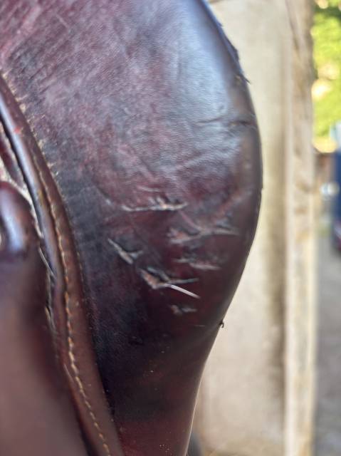 Selle Meyer 17,5 bon état