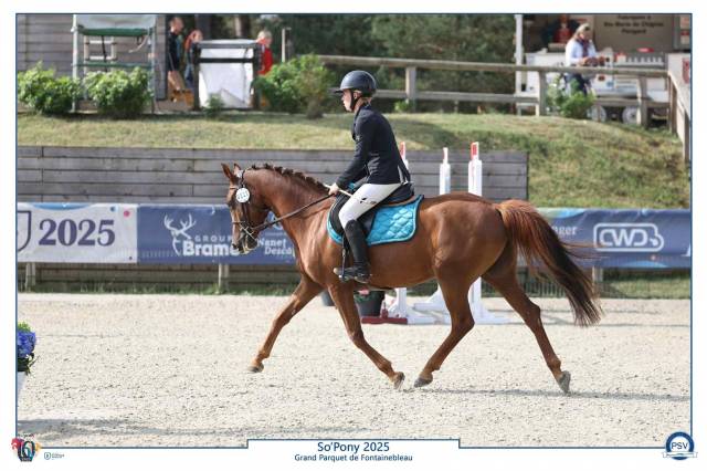 Top ponette cso 4 ans