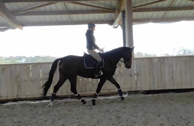 Débourrage - valorisation - commerce