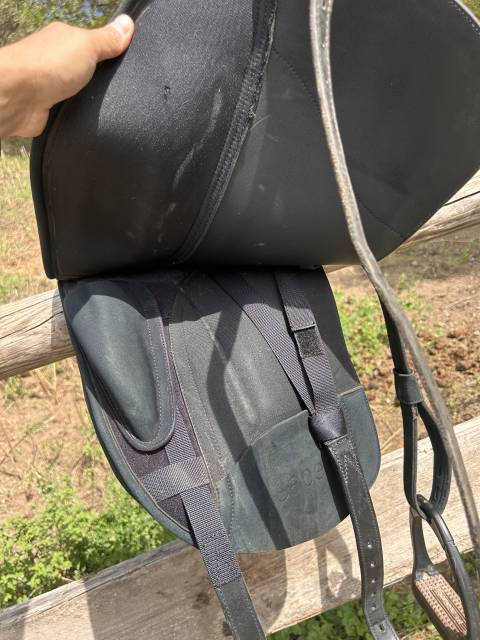 Selle de dressage Wintec Isabel Werth 