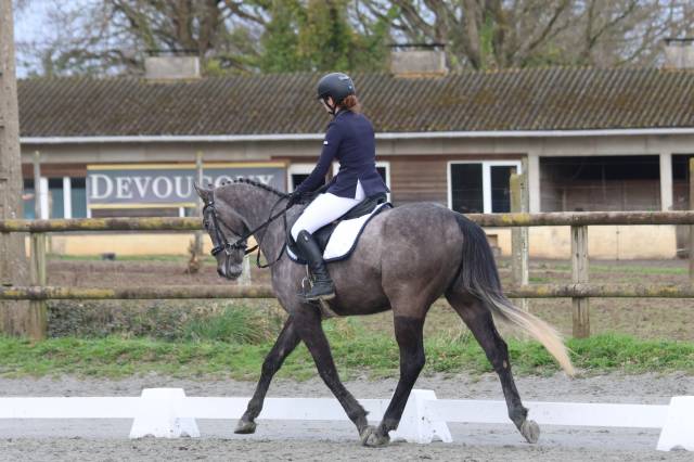 Selle Eric Mondange cuir noir T 17,5