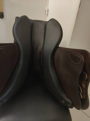 Selle forestier seoul