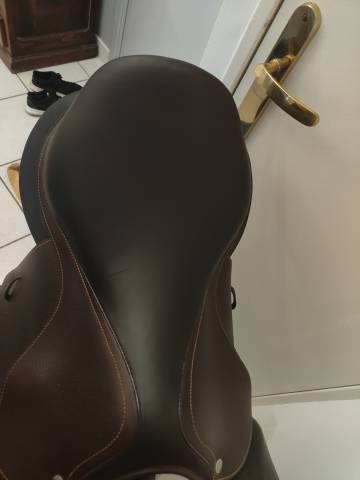 Selle forestier seoul