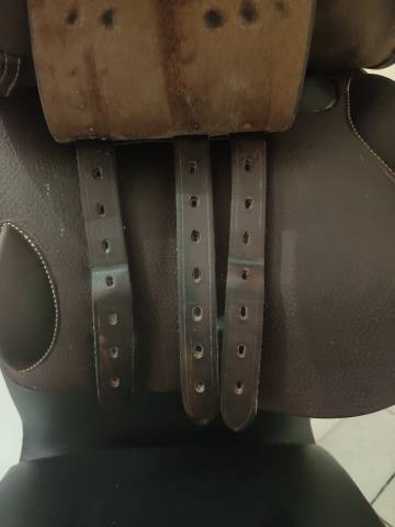 Selle forestier seoul