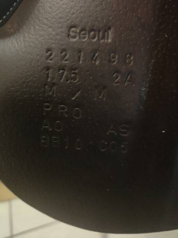 Selle forestier seoul