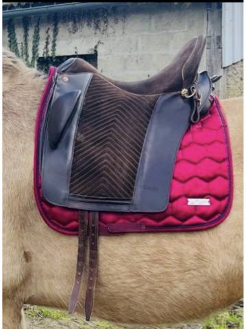Selle Zaldi dressage /loisir 