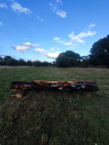 Pension familiale - écurie as luck - 35190 tinteniac