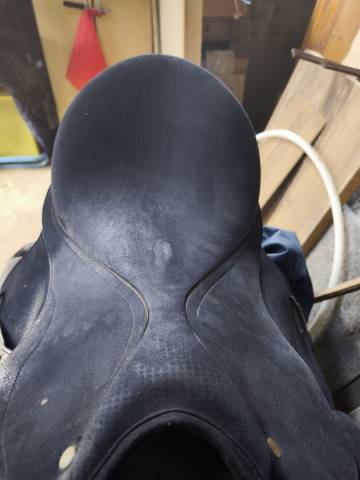 Selle dressage pro Isabel Werth+ tous les accessoires 