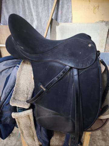 Selle dressage pro Isabel Werth+ tous les accessoires 