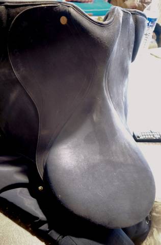 Selle dressage pro Isabel Werth+ tous les accessoires 