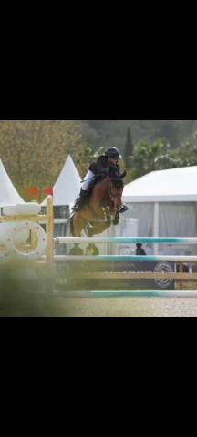 Poney 9ans pour gp à vendre