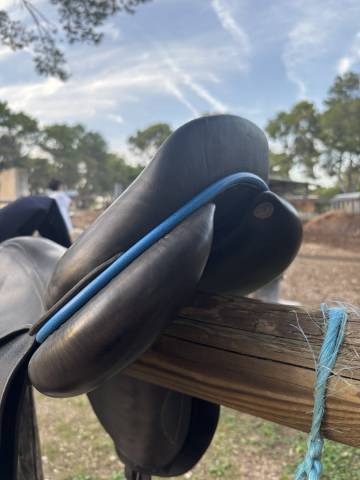 Selle GBS noire 18" – liseré bleu – très bon état