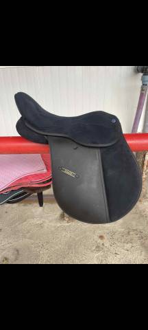 Selle de cheval 