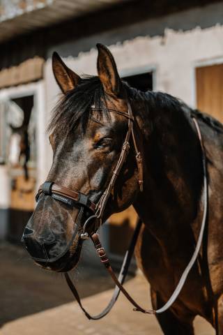 Protection nez anti-UV - Equithème - Légère et ergonomique
