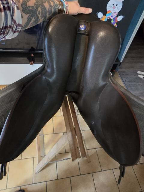Selle wintec 250