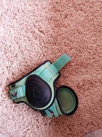 Guêtres + protèges boulet (licol offert)