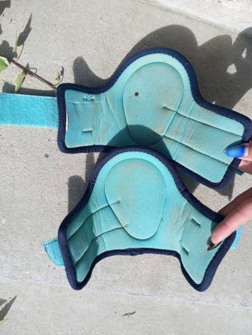 Guêtres + protèges boulet (licol offert)