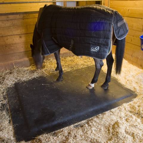 Matelas mousse cheval