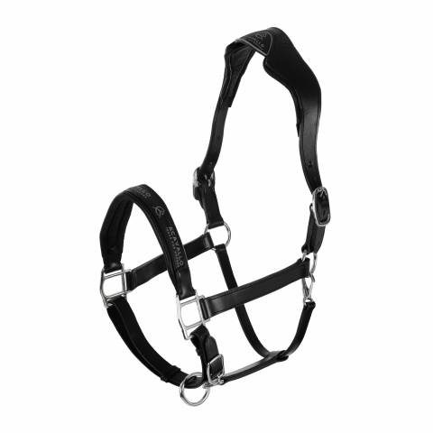 Licol ergonomique en cuir vachette - Acavallo - Confort optimal