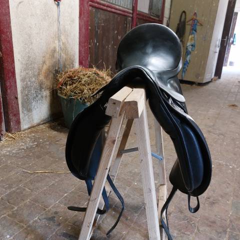 Selle Pasier Grand Ghilbert