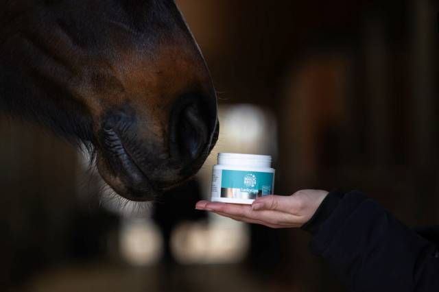 Baume pour la bouche Lucky Lips - Magic Brush