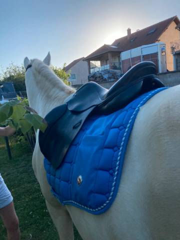 Selle enfant obstacle Michael Whittaker – 15 pouces