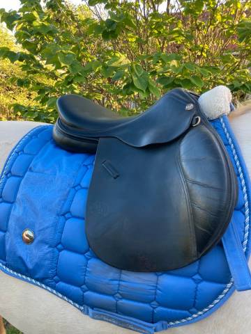 Selle enfant obstacle Michael Whittaker – 15 pouces