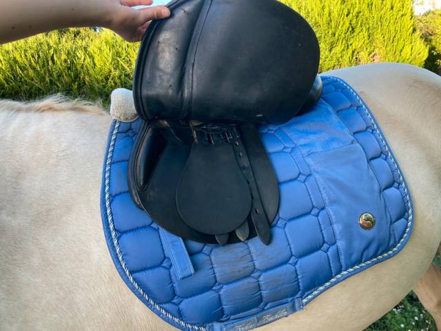 Selle enfant obstacle Michael Whittaker – 15 pouces