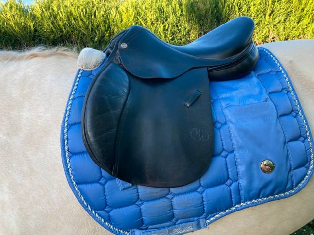 Selle enfant obstacle Michael Whittaker – 15 pouces