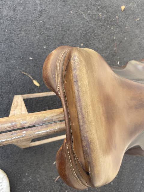 Selle Antares 17,5cm 2012 obstacle