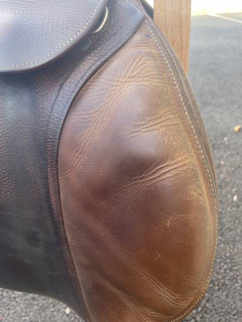 Selle Antares 17,5cm 2012 obstacle