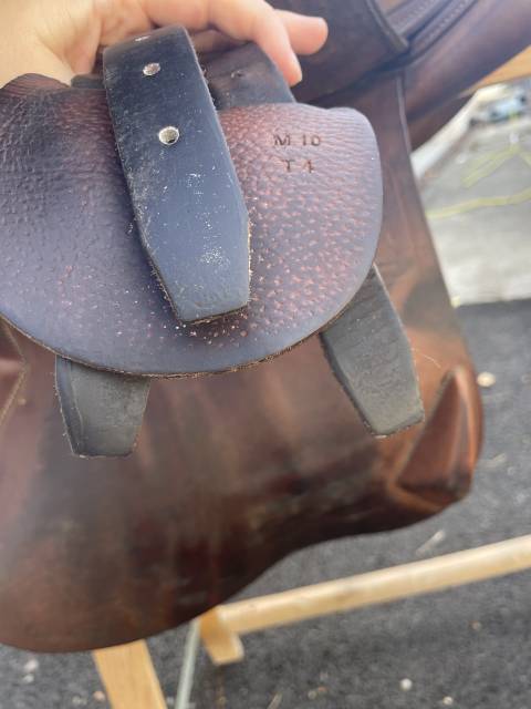 Selle Antares 17,5cm 2012 obstacle