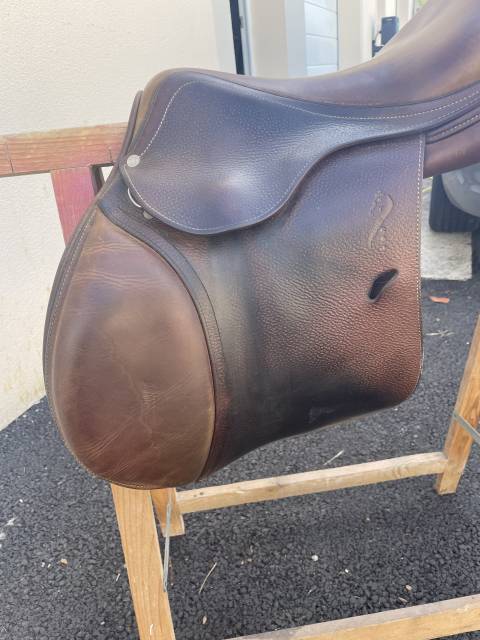 Selle Antares 17,5cm 2012 obstacle