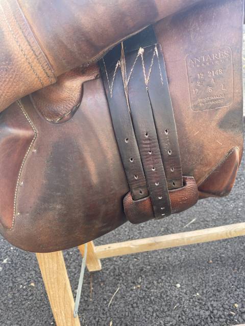 Selle Antares 17,5cm 2012 obstacle