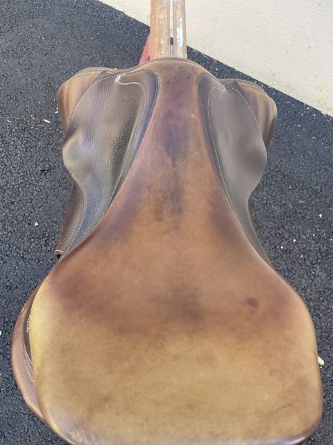 Selle Antares 17,5cm 2012 obstacle