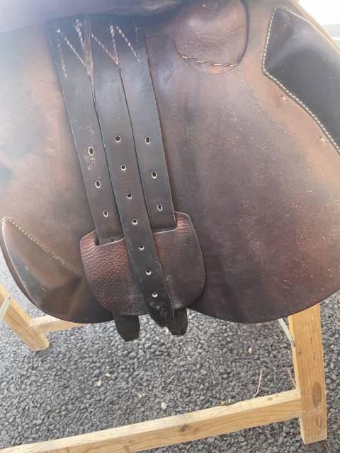 Selle Antares 17,5cm 2012 obstacle