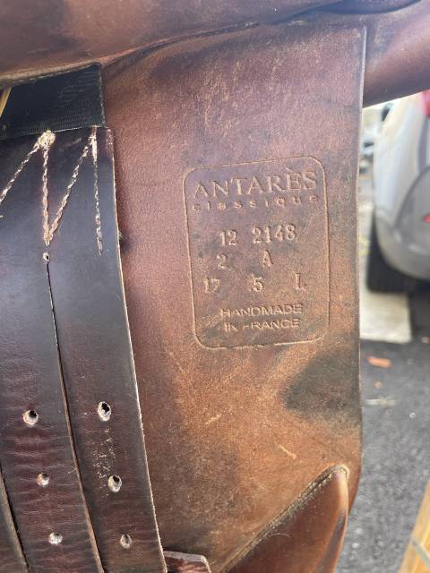 Selle Antares 17,5cm 2012 obstacle