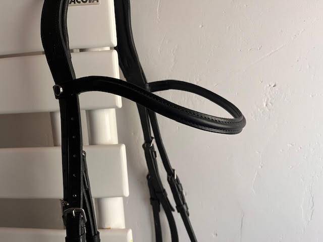 Bridon de dressage