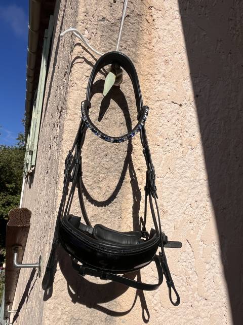 Bridon de dressage