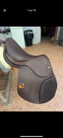 selle neuve Childeric de 2022
