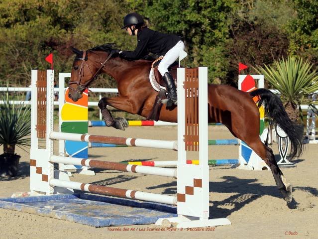 Cavalier pour une pension complète 