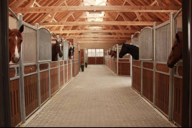 Une place en pension au haras des vignes d’allouin