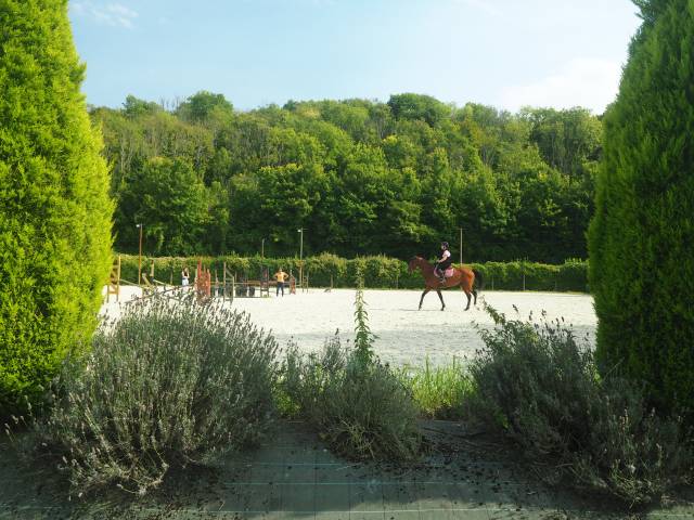 La perle écurie - pension chevaux 77 nord