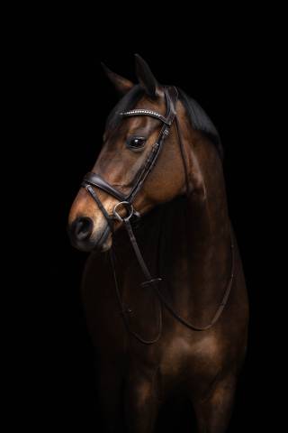 Bridon anatomique Arezzo - HKM - Cuir doux