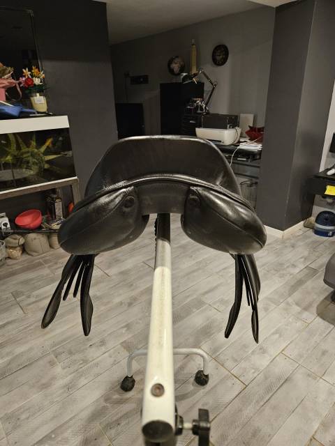 Selle Eric Thomas 17'