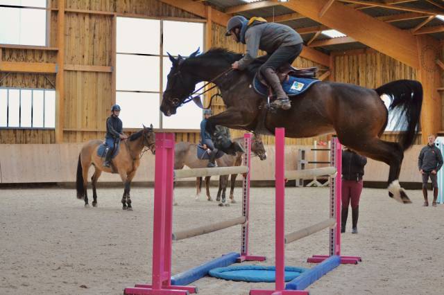 écurie cso - 20 minutes d’orléans