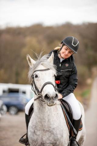 Propose dp poney d connemara