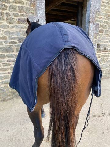 Couvre Reins 3 en 1 - Fouganza - TCob