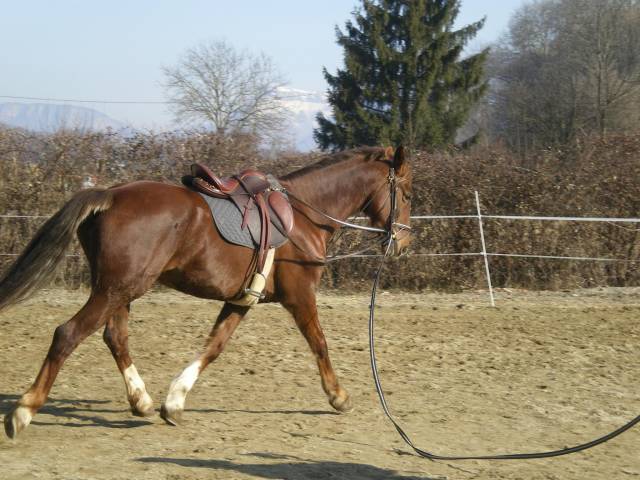 selle de randonnée Henry de Rivel 