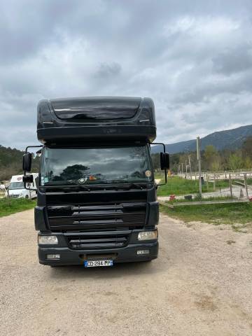 Camion daf 8 places chevaux + home car